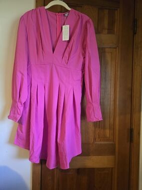 NWT Bright Pink Long-Sleeve Pleated Dress